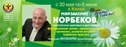 Курс Норбекова Мастерская здоровья и долголетия